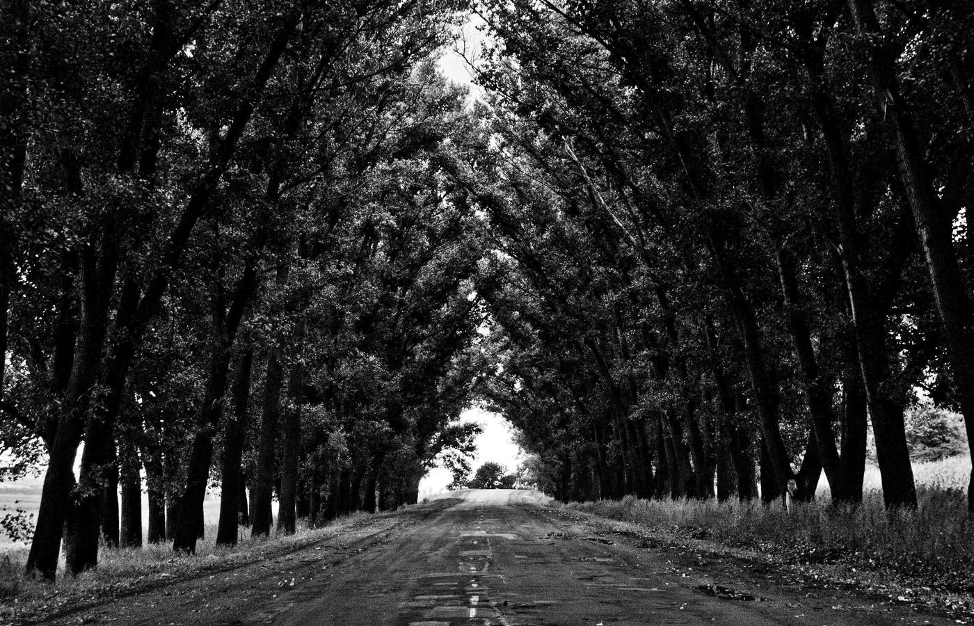 Cloud-Kosten: wie man sie kontrolliert