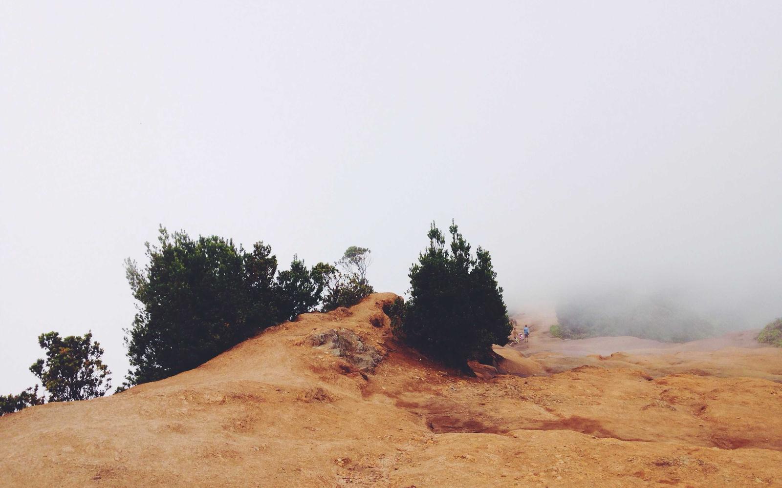 B2B Workflow-Plattform